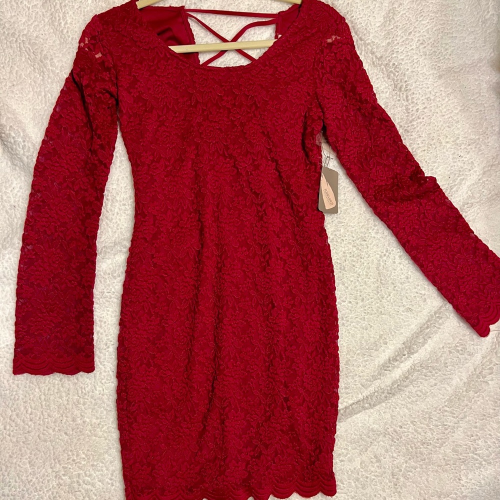 Lace long sleeve Bodycon dress midi